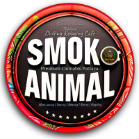 Smok animal