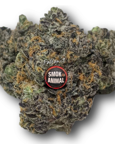 Falcon9 Strain Now Available !!!