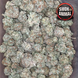 Og kush
