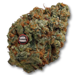 Og kush