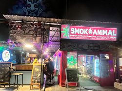 Smok Animal
