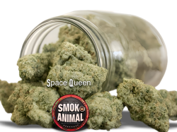 Space Queen