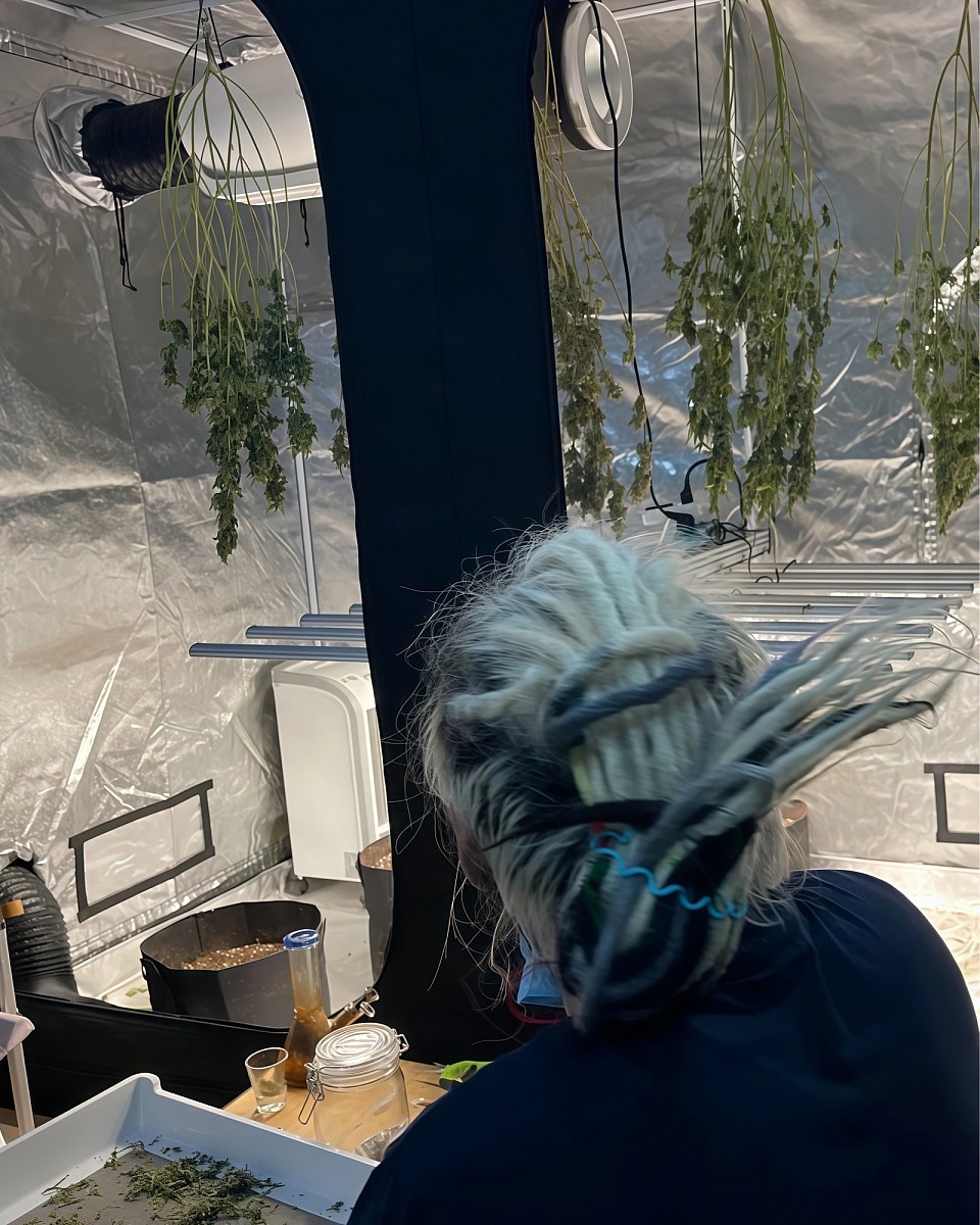 Cannabidose Garden years 2019
