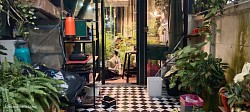 CBD Garden