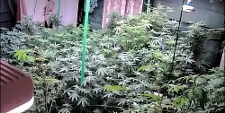 SoulStoned