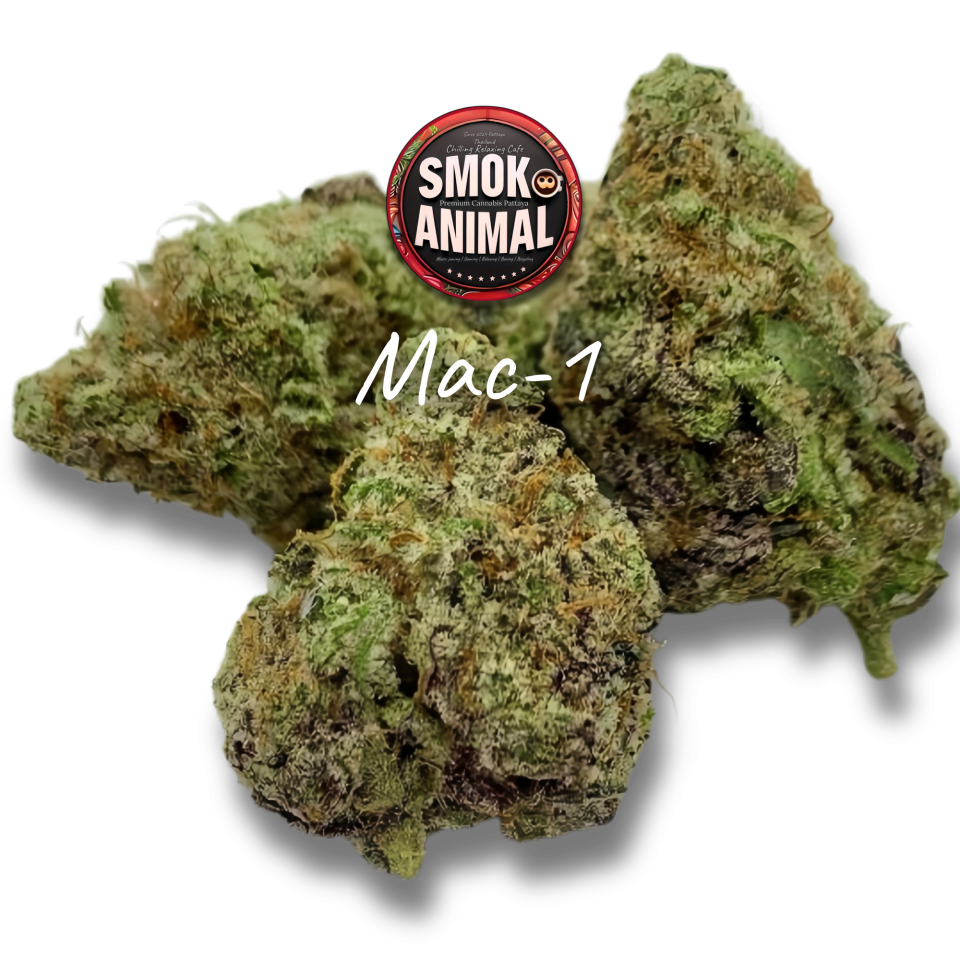 Mac - 1