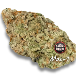 Mac1