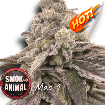 Mac-1 Available at Smok Animal